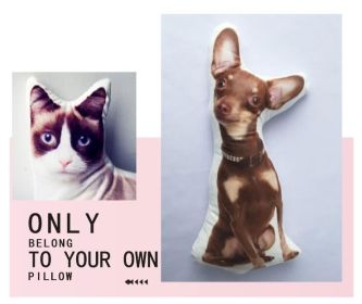 Customize Irregular Pillow Pet Pillow (Option: 60x60-Two sides)